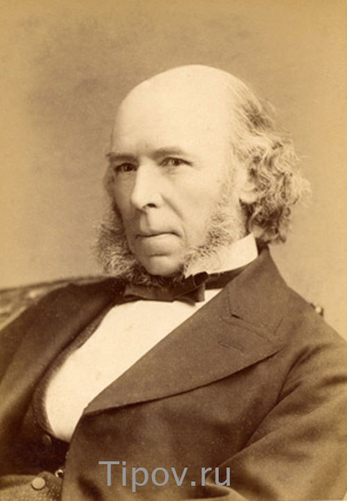 ������� ������� ���������� ��������